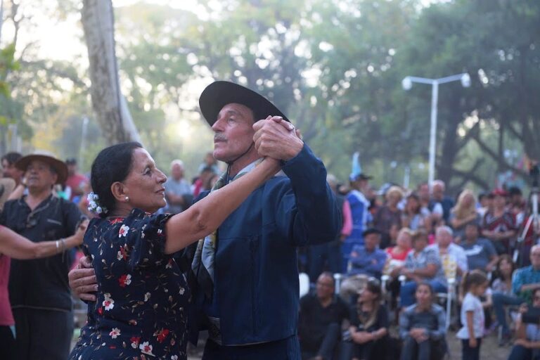 Fiesta de la Torta Frita: La grilla de los shows