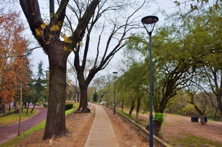 Luján: Avanza recuperación de parque ribereño