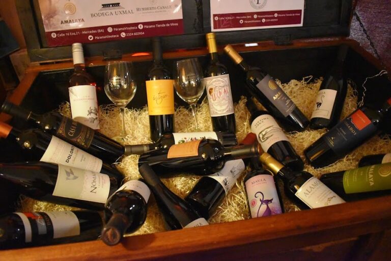El vino del país en la tierra del Salame