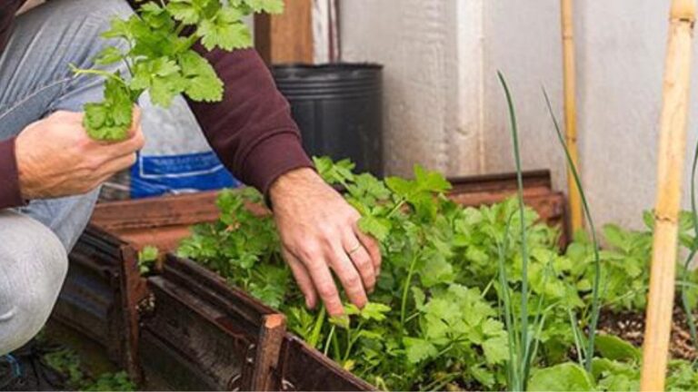 Taller de Huerta Agroecológica en Luján