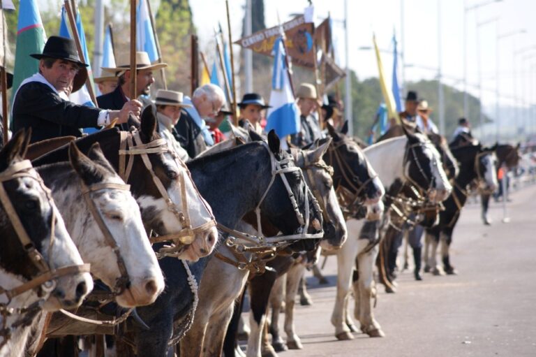 Luján celebrará el día del Caballo Criollo