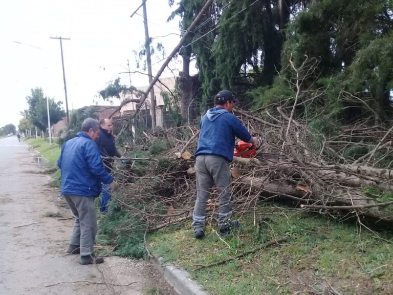 Temporal en Giles: Trabajos y pedidos de comprensión