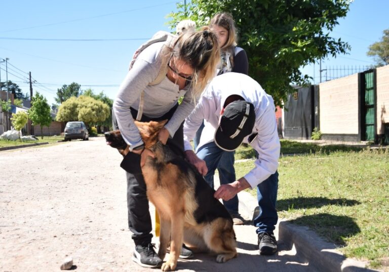 Municipio de Luján informa cronograma de vacunación antirrábica