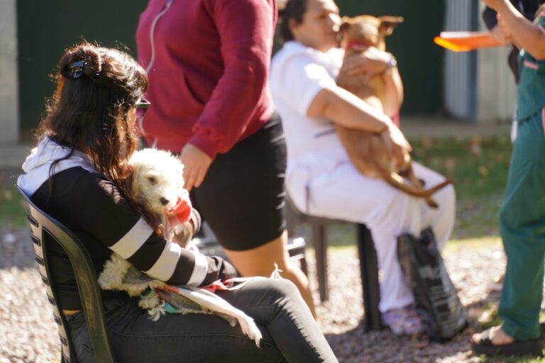 Mercedes: Cronograma de actividades del área de Zoonosis