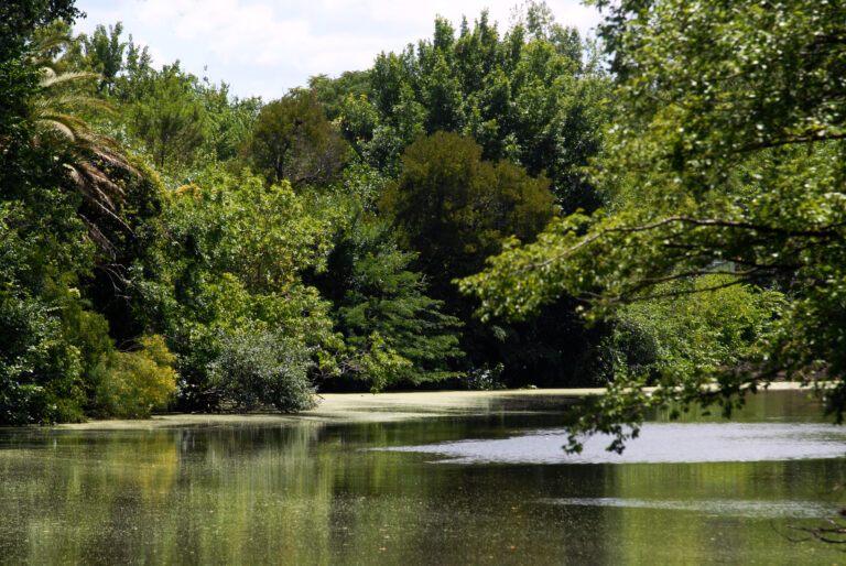 El Municipio de Luján conmemora el Mes del Ambiente