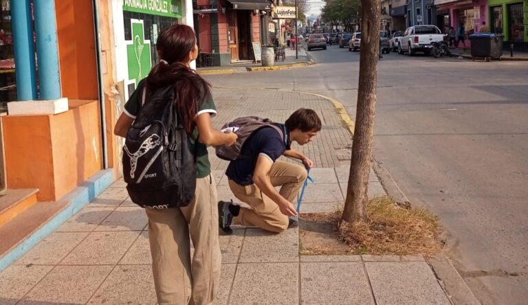 Luján tiene su plan de manejo de arbolado urbano