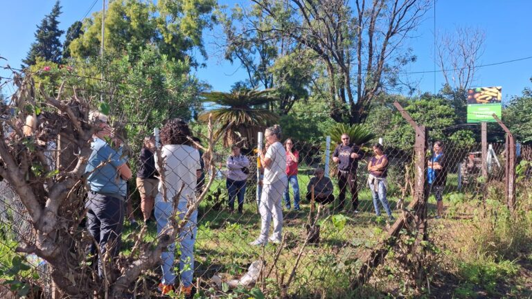 El programa Huerta en Casa continúa en Luján