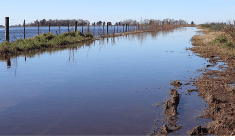 Prorrogan la emergencia agropecuaria en distritos bonaerenses