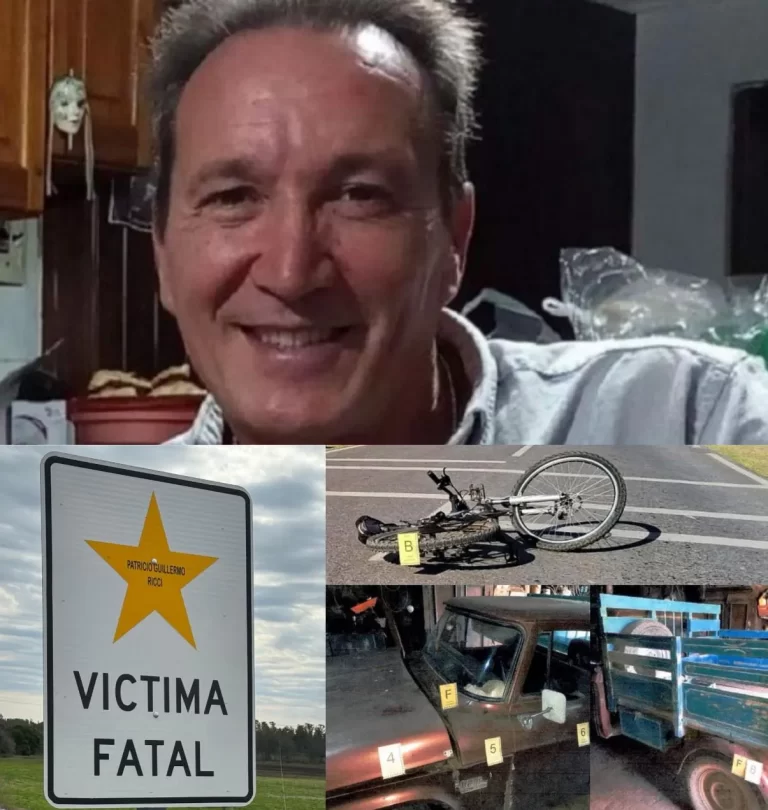 Condenan a 4 años de prisión efectiva al conductor que atropelló y abandonó a Patricio Ricci en Colectora de Ruta 5