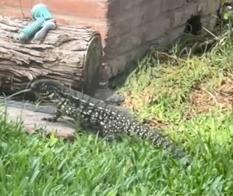 La Noticia 1 | Las últimas noticias de la Provincia de Buenos Aires