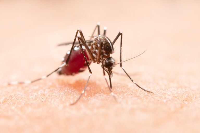 El Municipio de Luján refuerza Campaña contra el Dengue