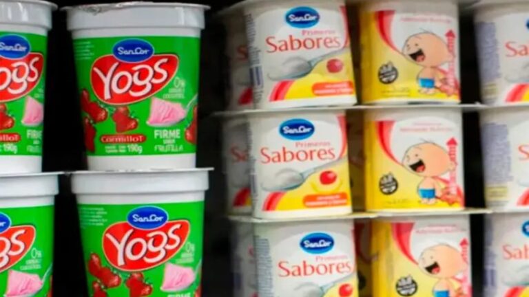 Se confirmó la quiebra de la fabricante de los yogures y postrecitos de famosa marca – La Noticia 1