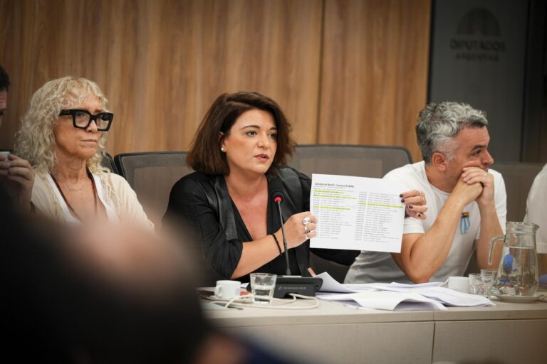 Caso $LIBRA: Diputada Selva asegura que Milei mintió