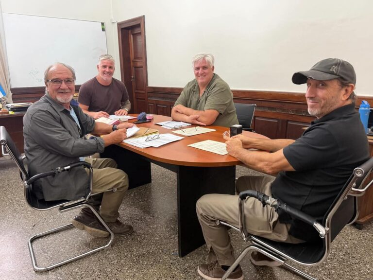 Navarro avanza con un plan de poda y reforestación mientras reconoce un déficit en el arbolado público