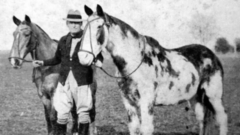 el hombre que recorrió 18 mil kilómetros a caballo entre Buenos Aires y EEUU – La Noticia 1
