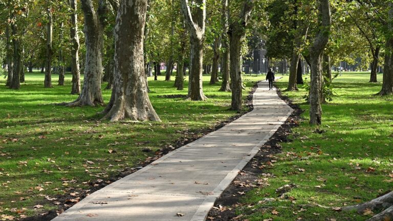 Luján abre la participación ciudadana para favorecer el arbolado urbano